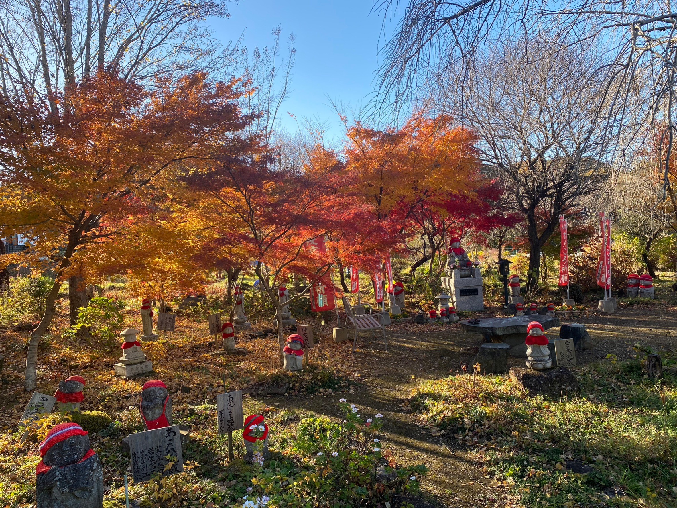 紅葉に包まれた秋の向陽寺境内とお地蔵さま