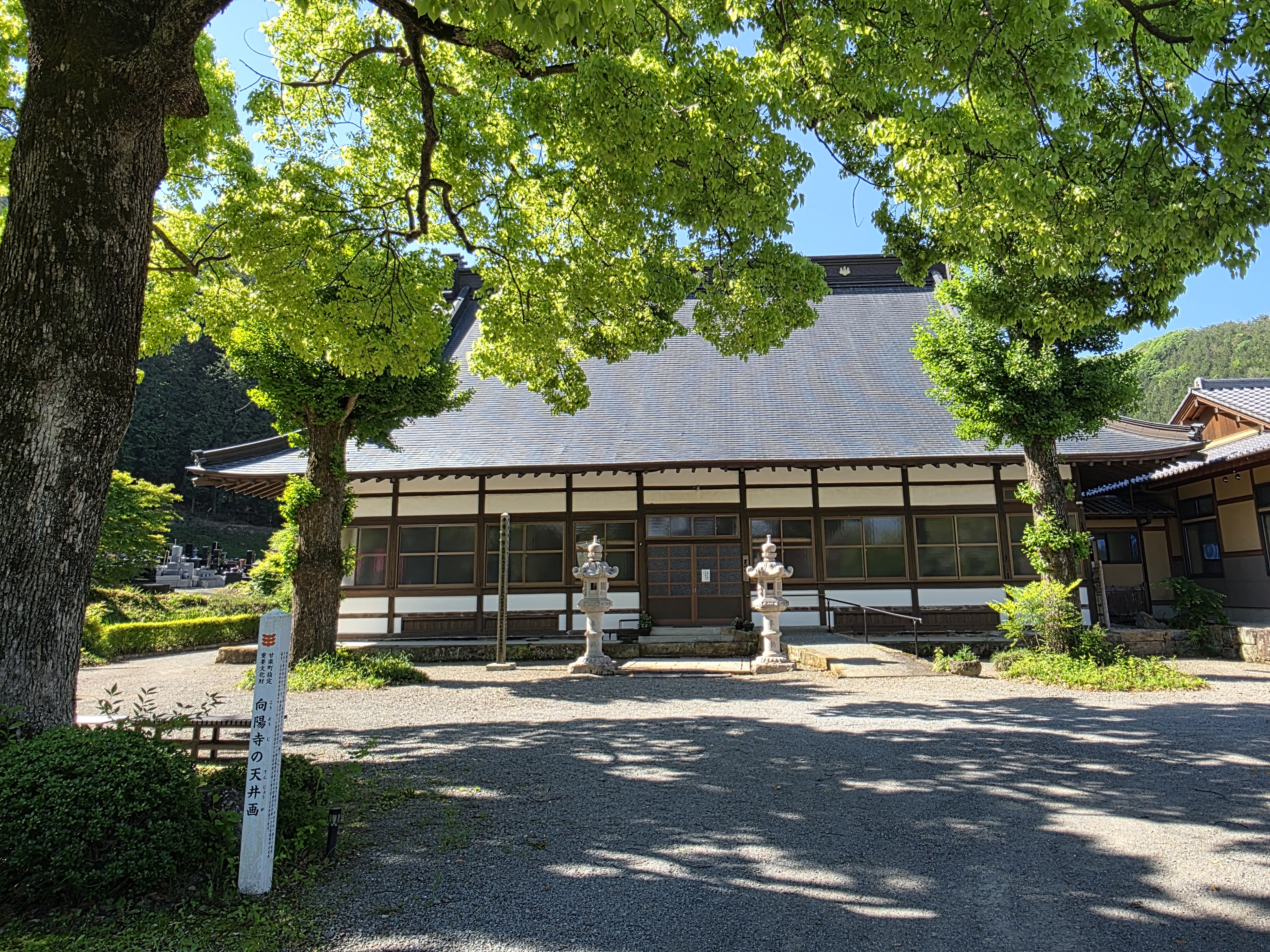 新緑に包まれた向陽寺の本堂