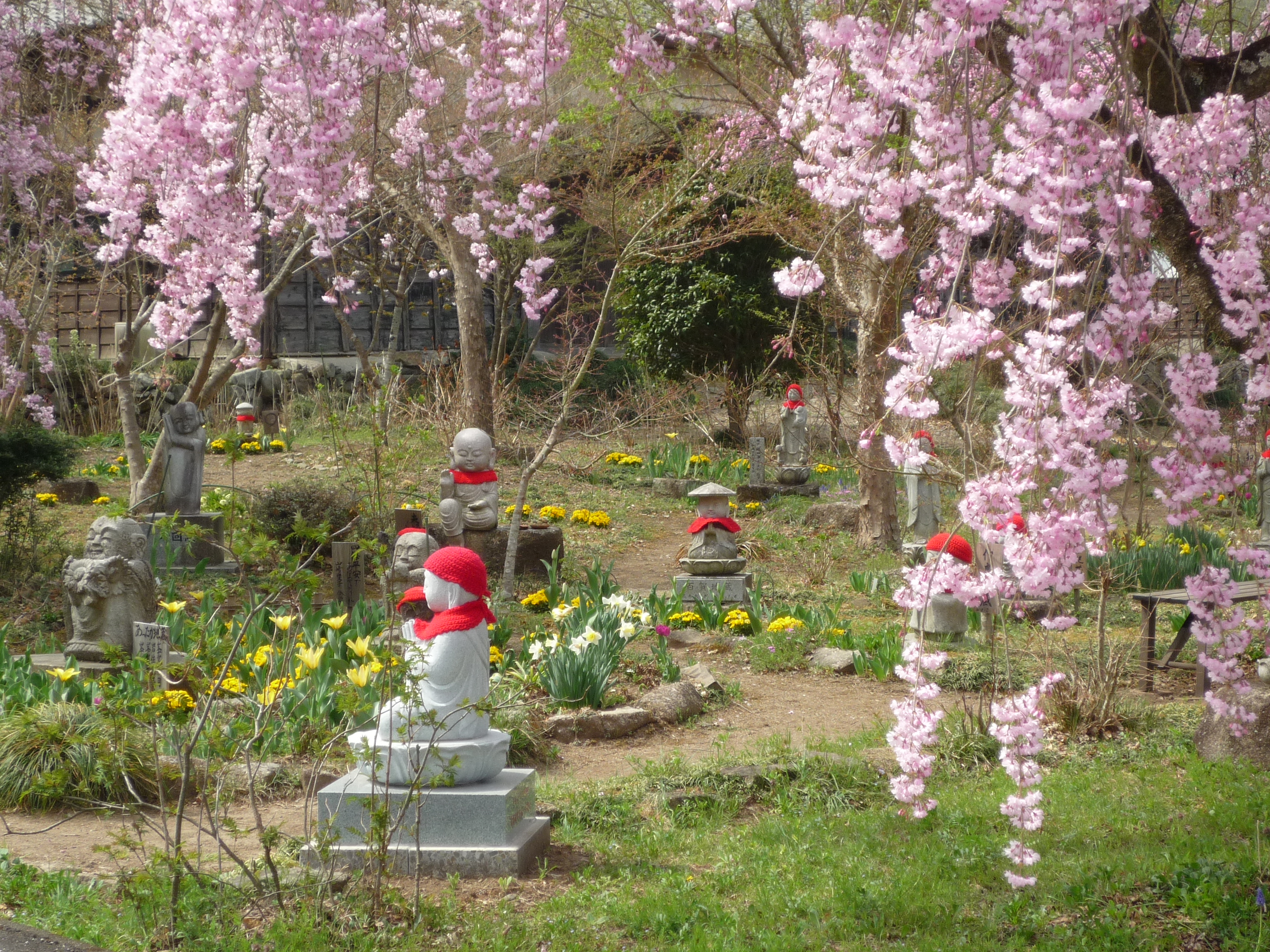 桜と花に囲まれた境内のお地蔵さま